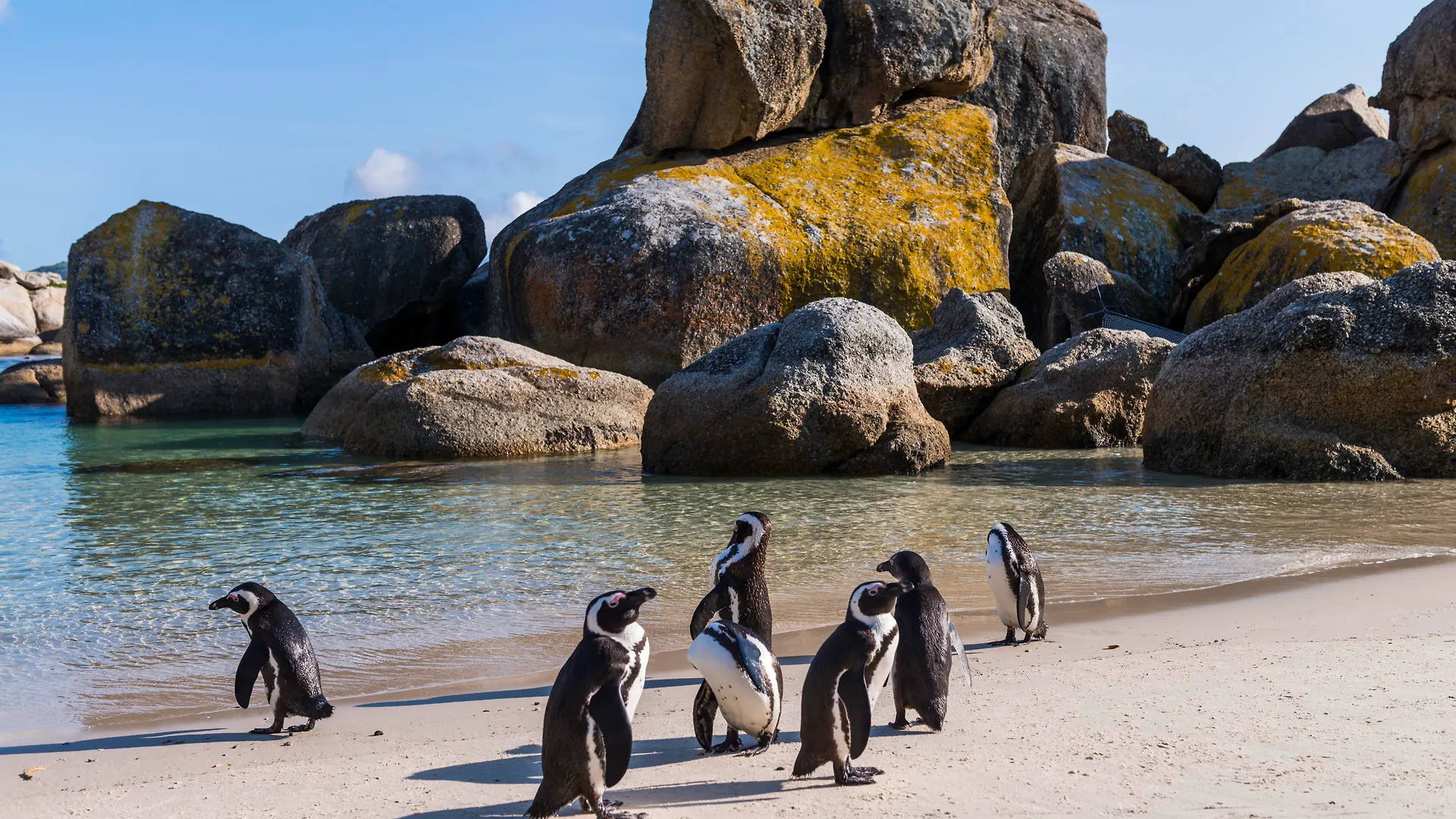 ***  Simon'S Town Quayside Hotel Νότια Αφρική